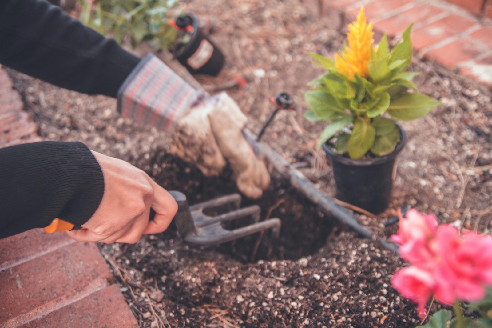 Productos de jardin SaaBen